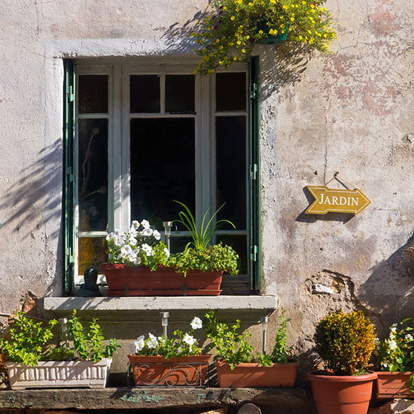 window with plants and flowers