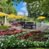 Beautiful Patio